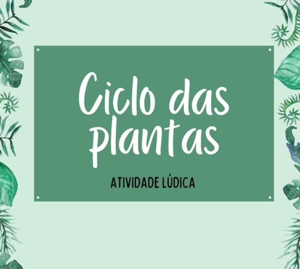 Atividade Lúdica - Ciclo das Plantas