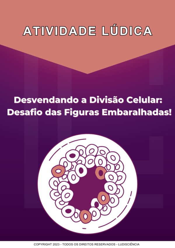 Desvendando a Divisão Celular: Desafio das Figuras Embaralhadas