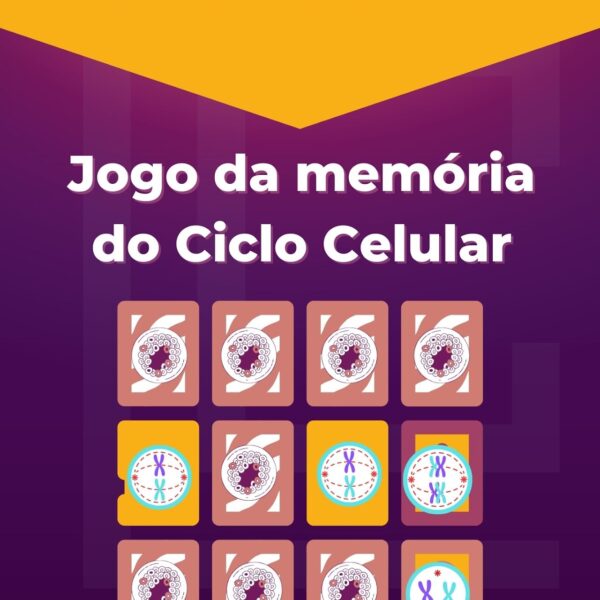 Jogo da memória do Ciclo Celular