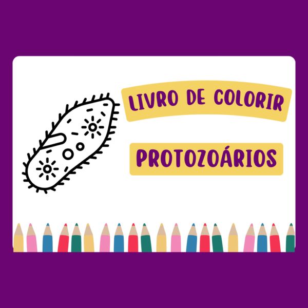 Livro de colorir- Protozoários