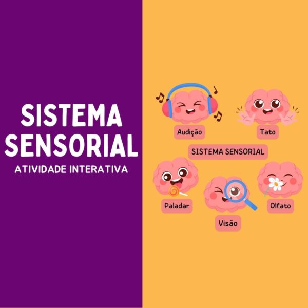 Combo- Atividade Interativa (Sistema Sensorial)