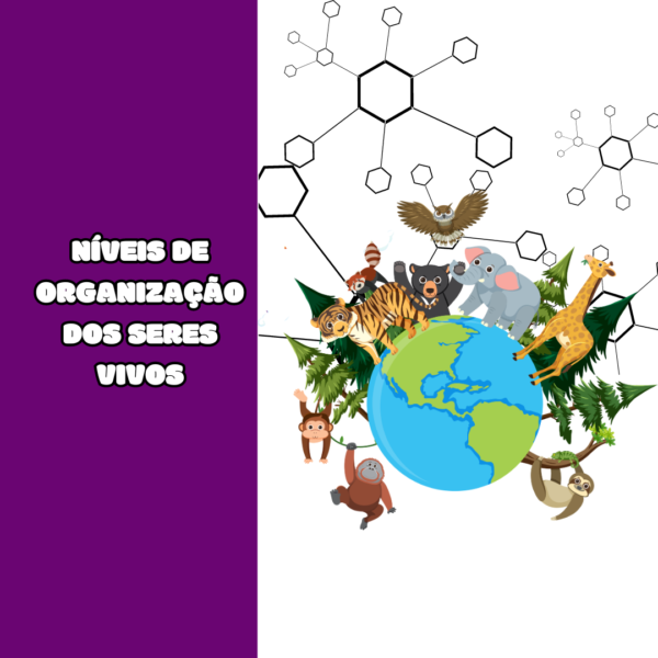 Lapbook- Níveis de organização dos seres vivos