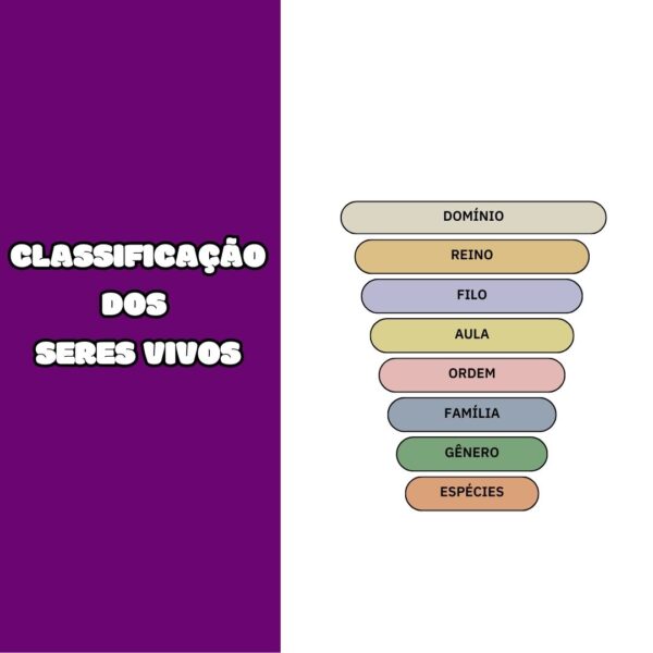 Lapbook Interativo- Classificação dos seres vivos