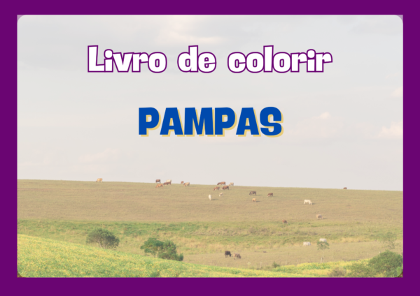 Livro de colorir- Pampas