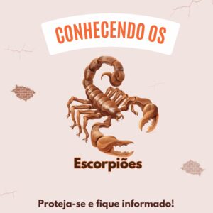 Folder - Conhecendo os Escorpiões
